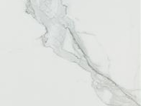 uploads/images/atlas-concorde/kleuren/marvel/atlasconcorde_marvel_calacatta-extra.jpg