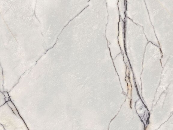 uploads/images/flaviker/kleur/supreme_treasure/flaviker_supreme-evo_supreme-treasure_greylac-platinum_1040.jpg