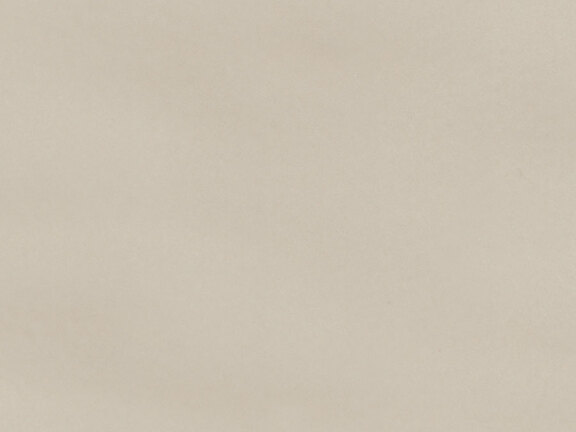 uploads/images/tonalite/kleur/dart/tonalite_dart_camel.jpg