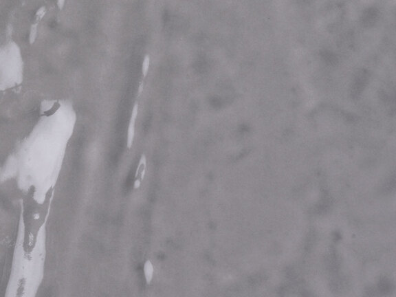 uploads/images/tonalite/kleur/exabright/tonalite_exabright_grigio.jpg