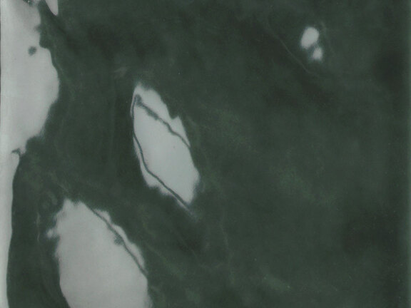 uploads/images/tonalite/kleur/fluid/tonalite_fluid_ficus.jpg